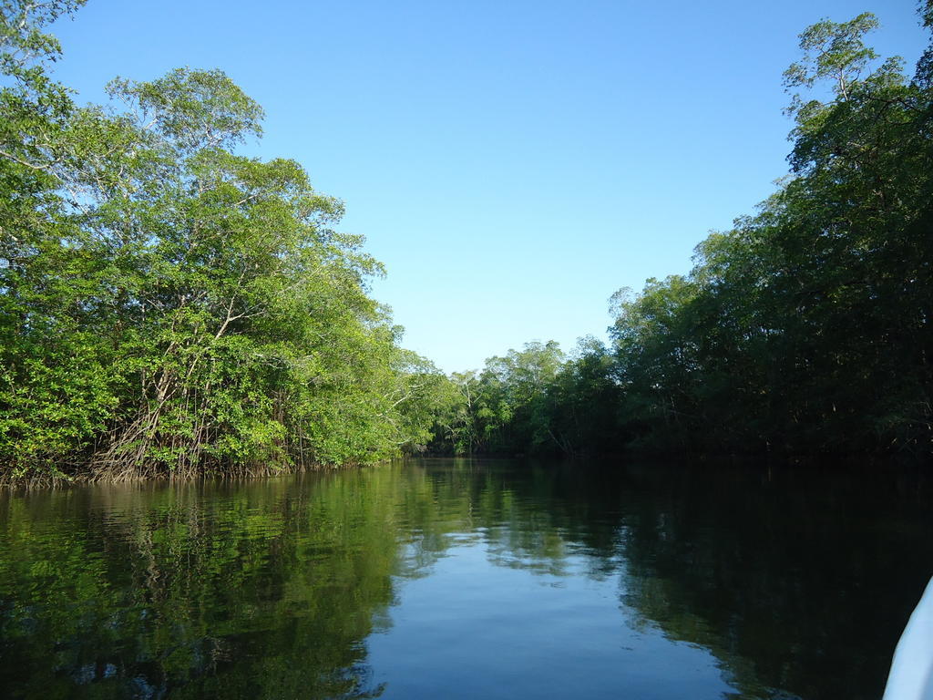 Hotel Veragua River House Sierpe Екстер'єр фото
